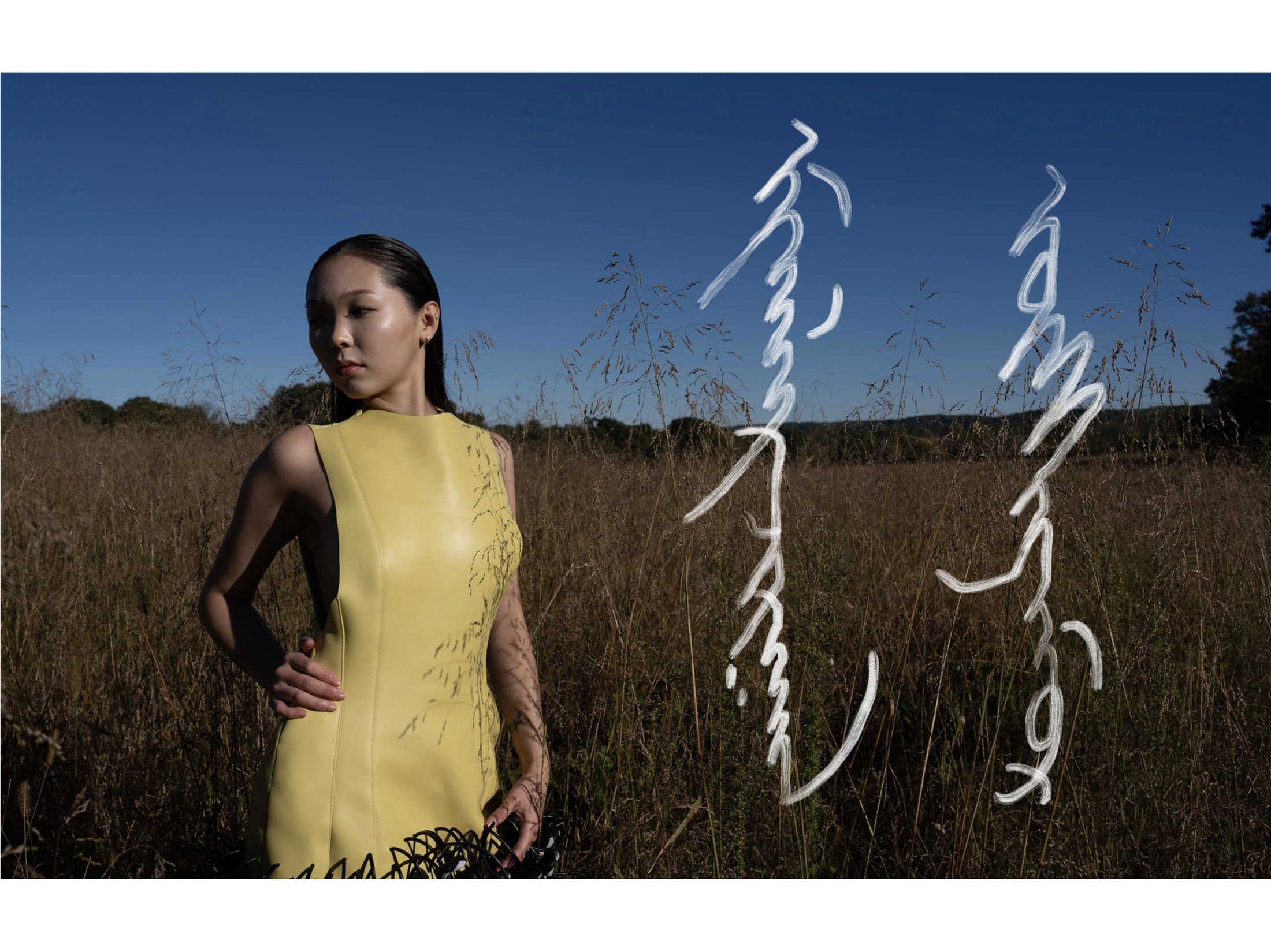 Fashion portrait in a yellow garment in a field, with Mongolian script.