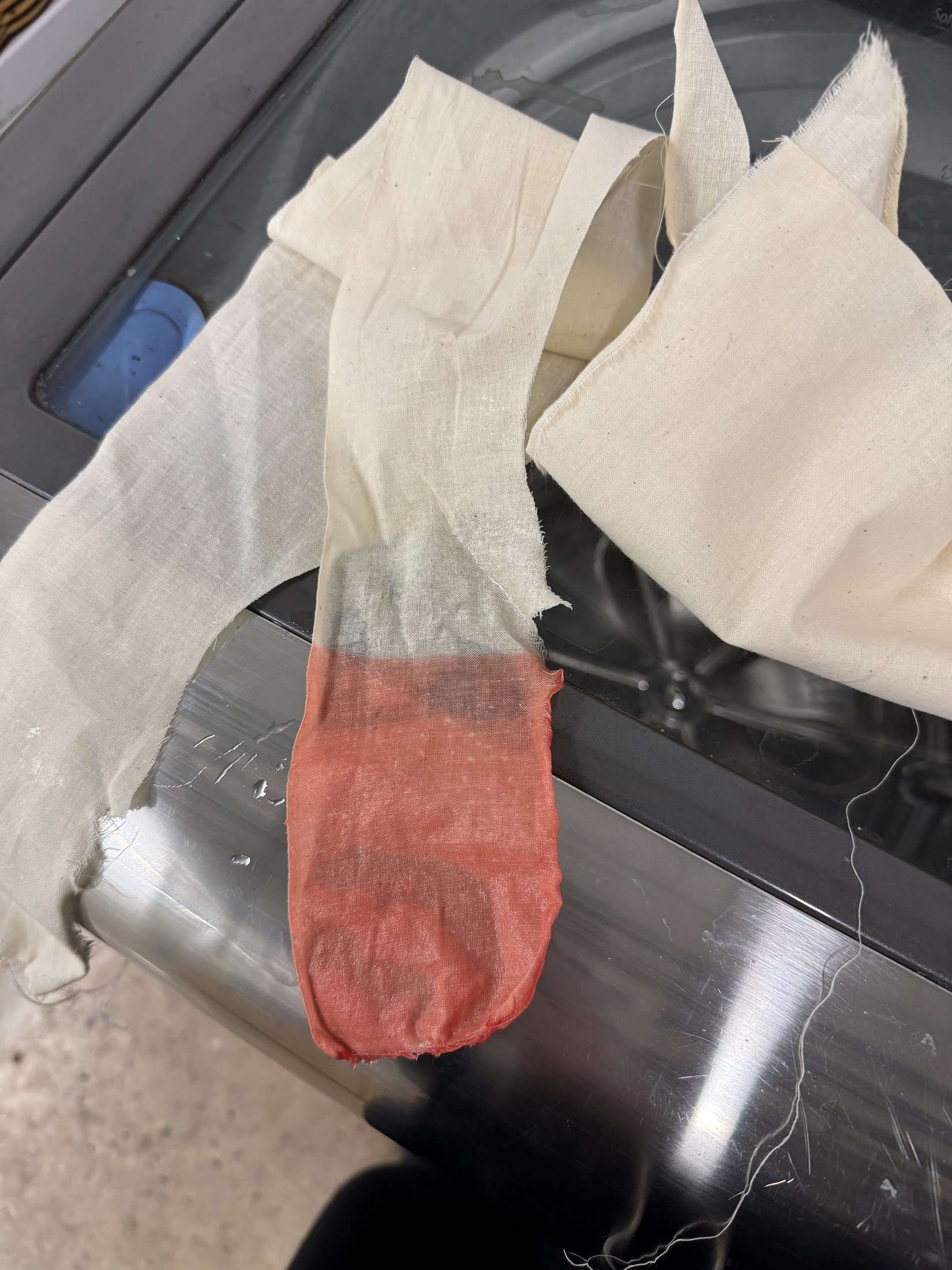 Fabric sample in the dye bath